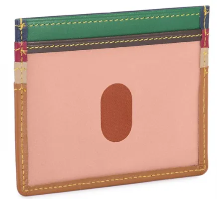 Credit Card Holder