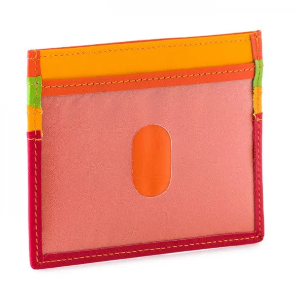 Credit Card Holder