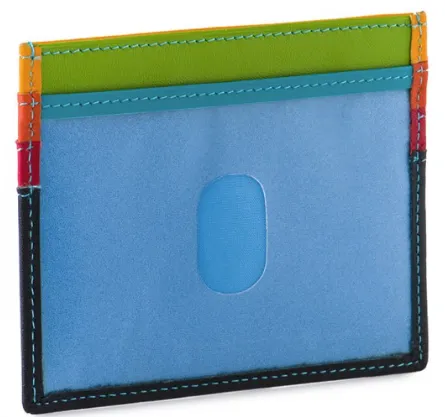 Credit Card Holder