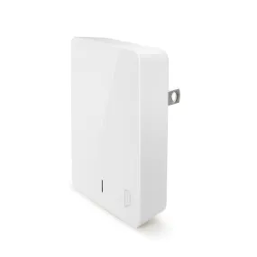 iStore Dual Vertical Wall Charger (4.8 amps)