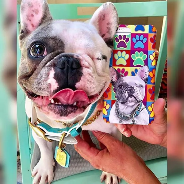 Original Pet Pop Art Phone Case