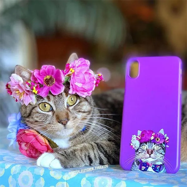 Original Pet Pop Art Phone Case