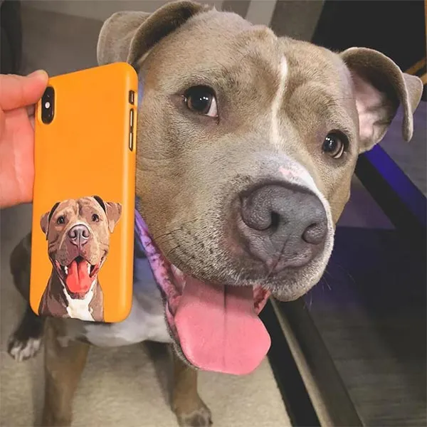 Original Pet Pop Art Phone Case