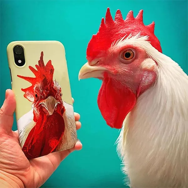 Original Pet Pop Art Phone Case