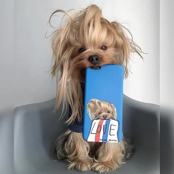 Original Pet Pop Art Phone Case