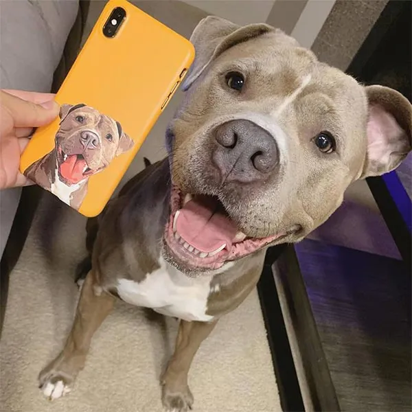 Original Pet Pop Art Phone Case