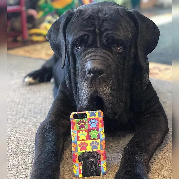 Original Pet Pop Art Phone Case